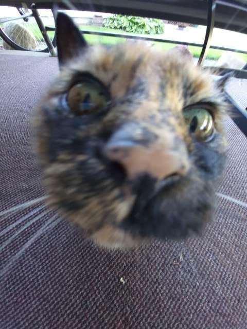 Aleigha profile photo