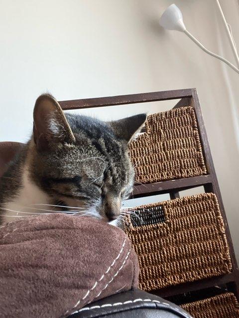 Lexie profile photo
