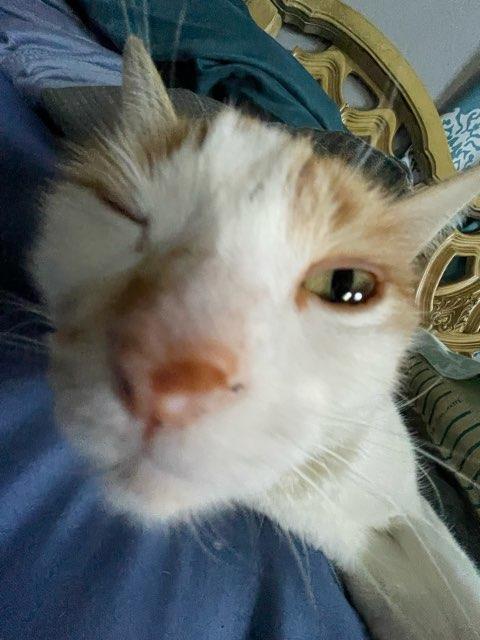 Jupe profile photo