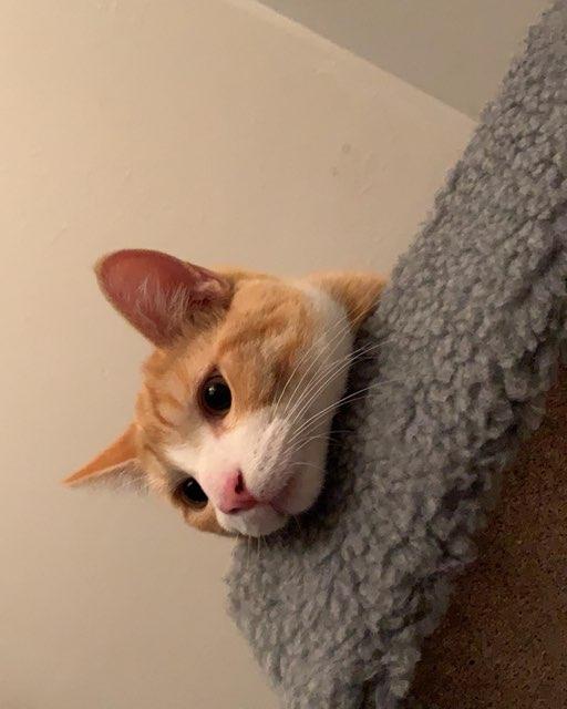 Ella profile photo