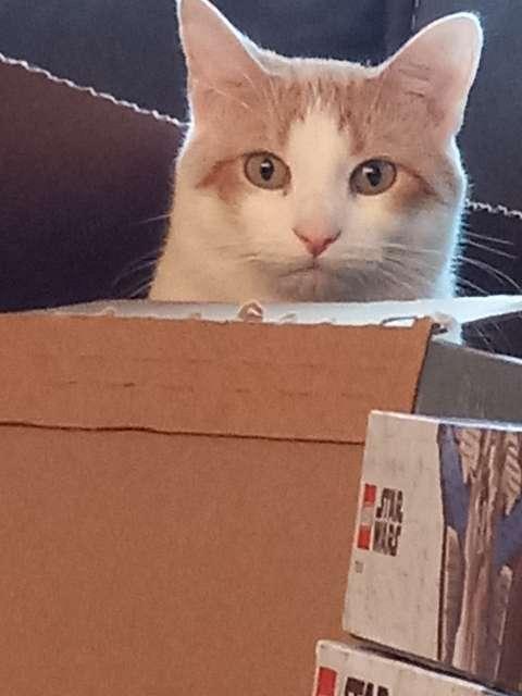 Caitlyn profile photo