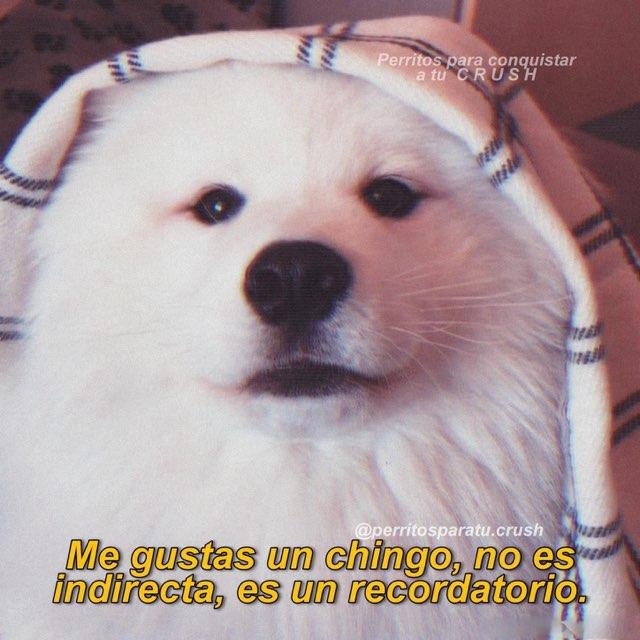 Say profile photo
