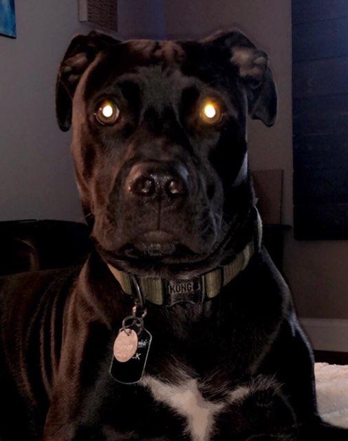 Taya profile photo