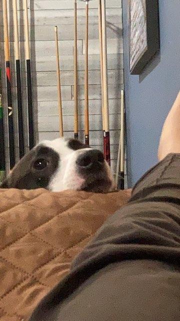 Fae profile photo