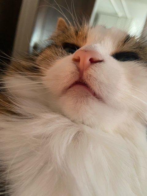 Ky profile photo