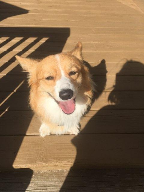 key profile photo