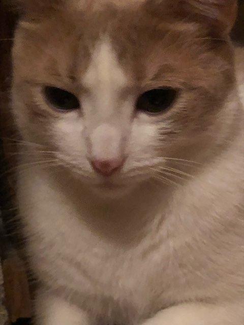 Liliana profile photo