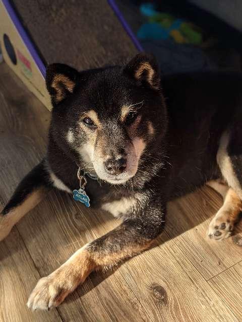 Cassi profile photo