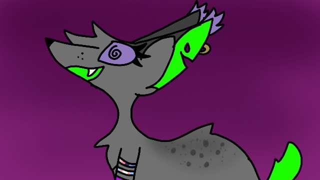 Lillypawpads profile photo