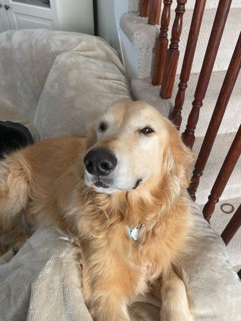 Finn profile photo