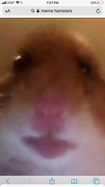 Denis profile photo