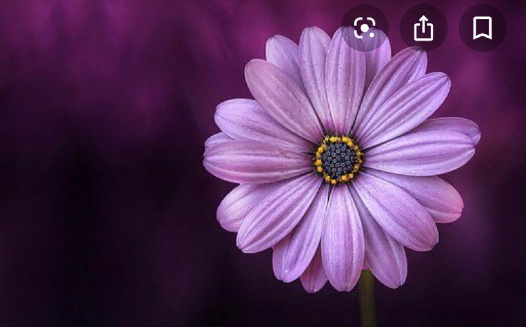 Ema profile photo