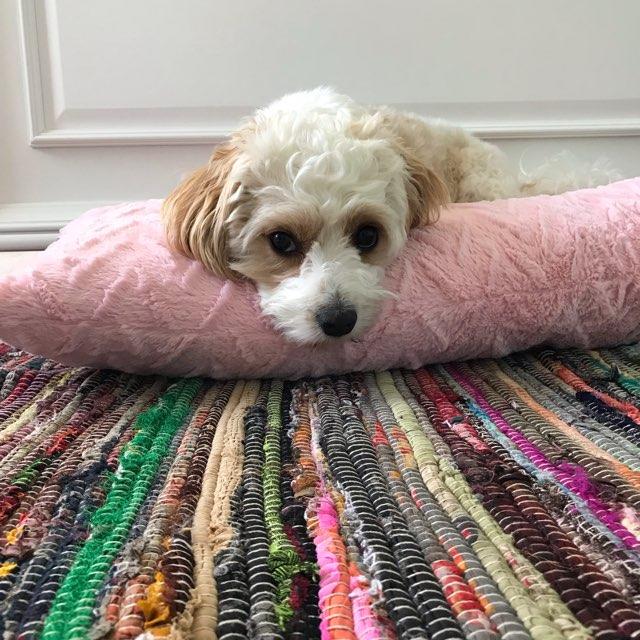 Sienna profile photo