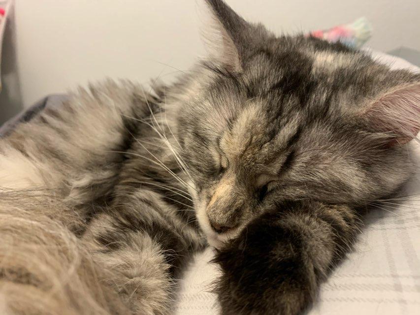 Isabella profile photo