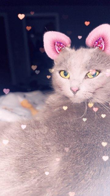 Bella profile photo
