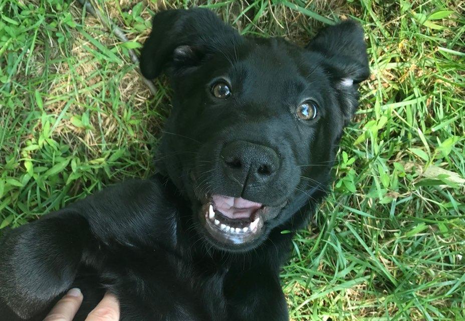 Sadie profile photo