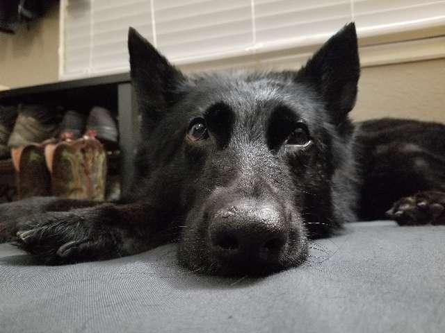 Alex profile photo