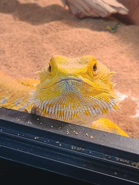 Shaley profile photo