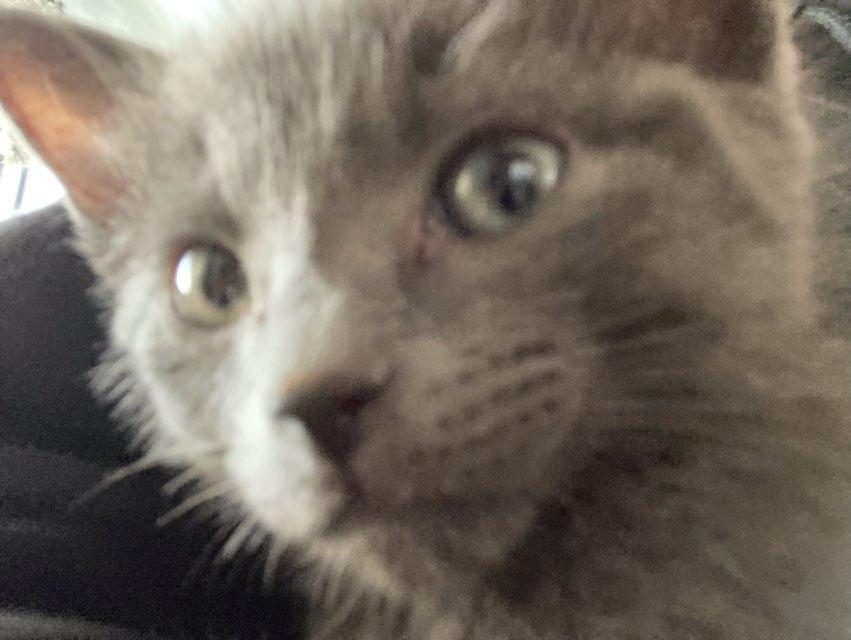 oliver profile photo