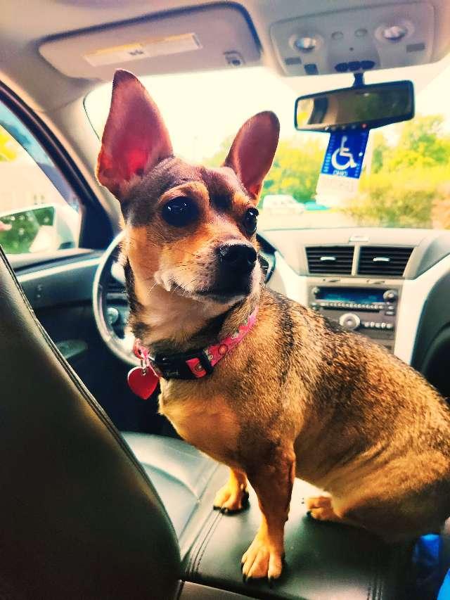Maggie profile photo