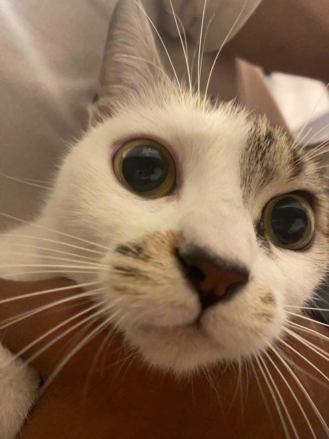 laila!! profile photo