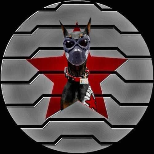 Carsen profile photo