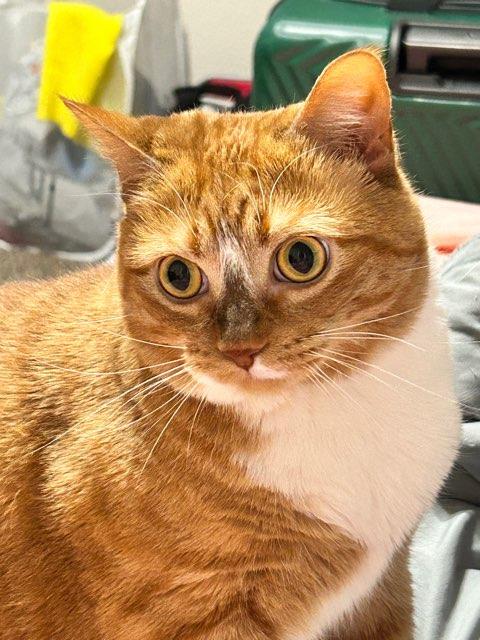 Parker profile photo