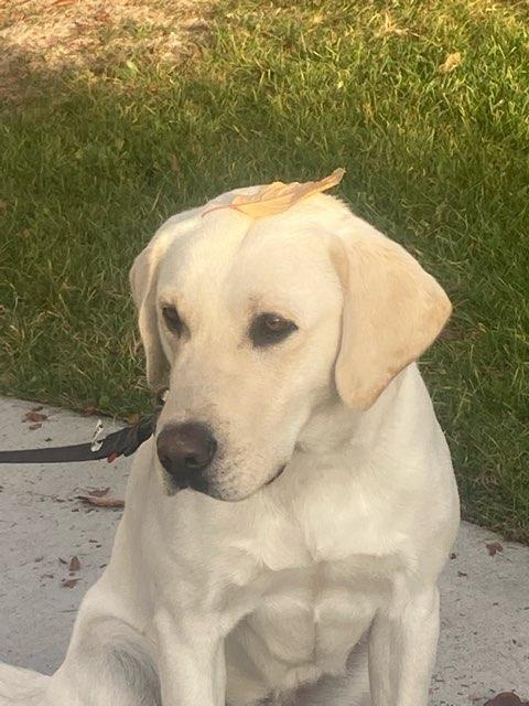Bailee profile photo