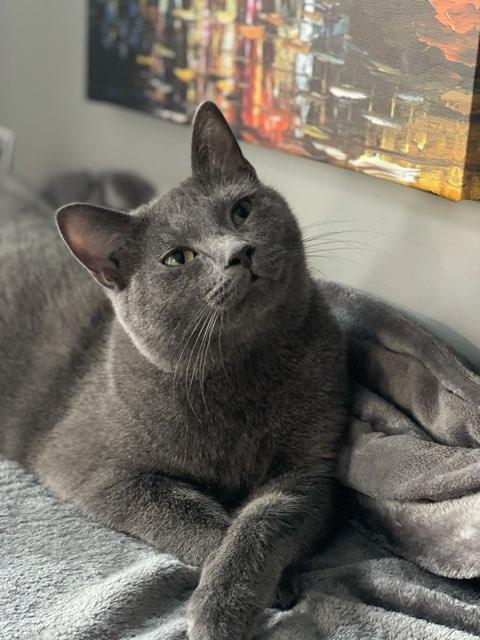 Larysa profile photo