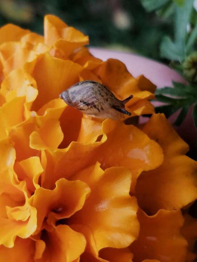 Potat profile photo