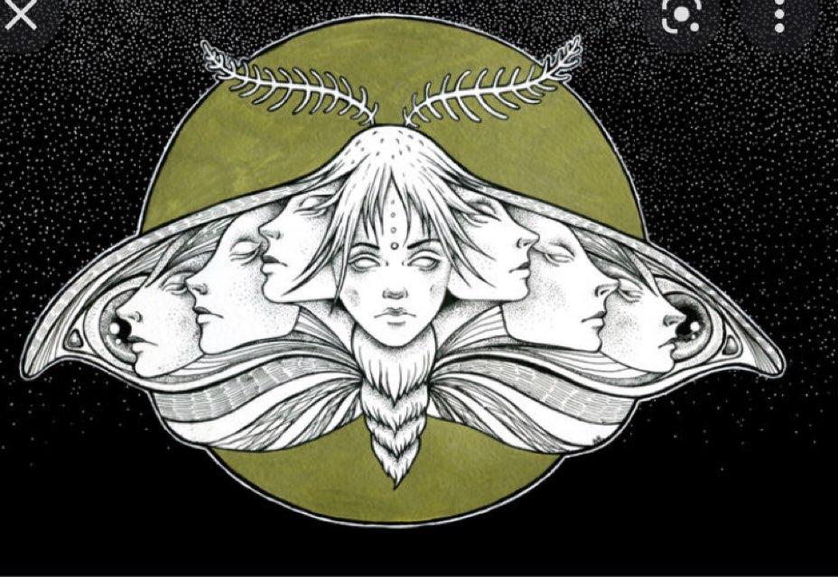 Moth_Queen profile photo