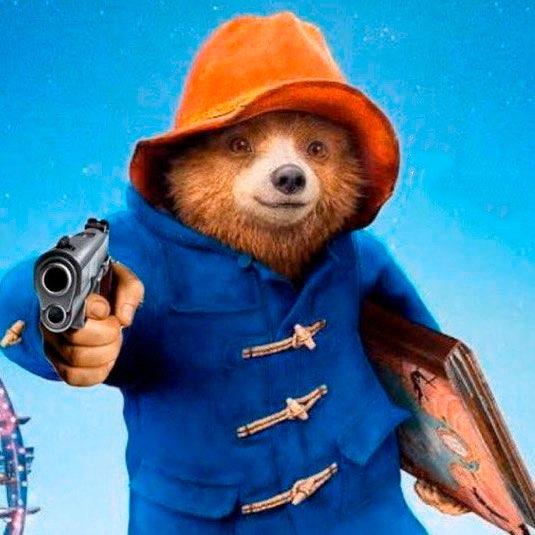 Paddington profile photo
