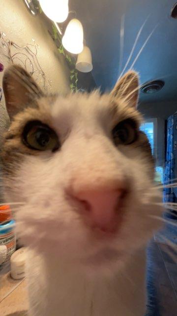 Zay profile photo