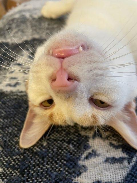 payton profile photo