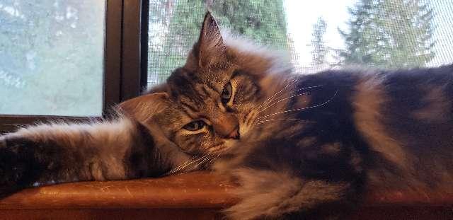 Mona E profile photo