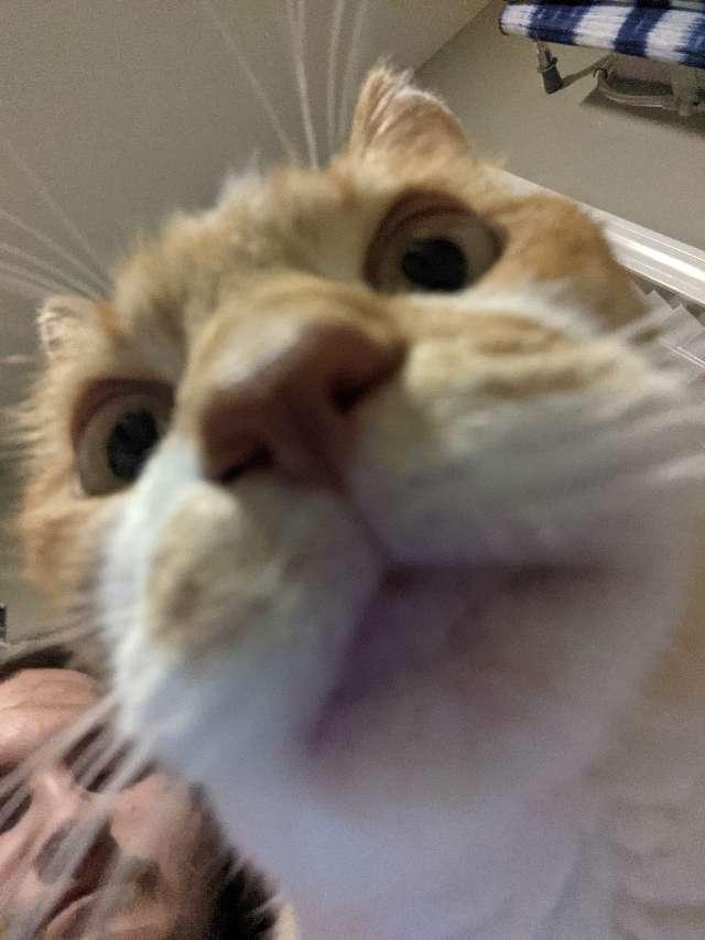 Marcus profile photo
