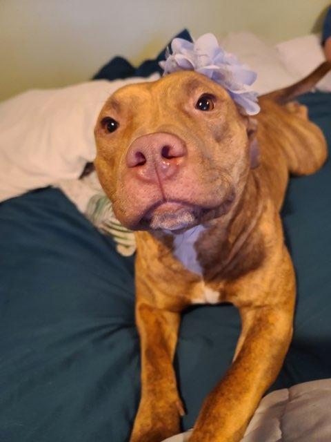 Samantha profile photo