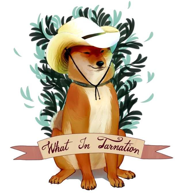 Texan profile photo