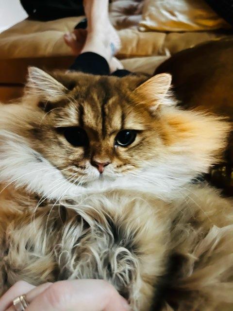 Drae profile photo