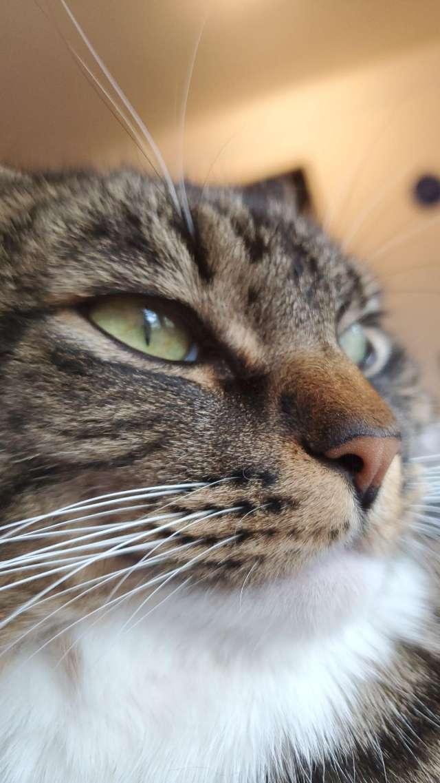 Rowan profile photo