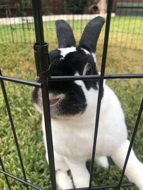 Sophia profile photo
