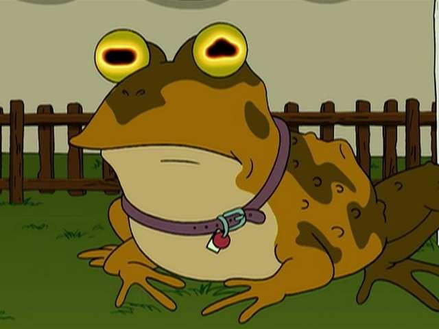 Wyatt profile photo