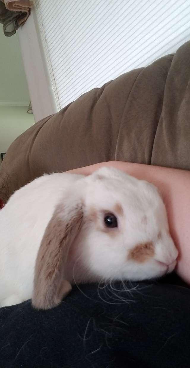 Ainsley profile photo