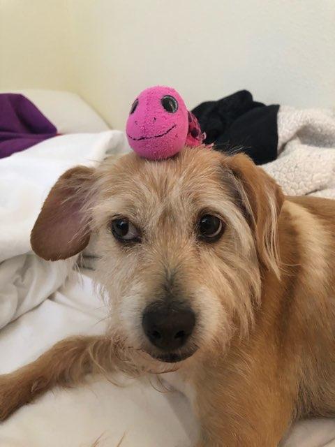 emily profile photo