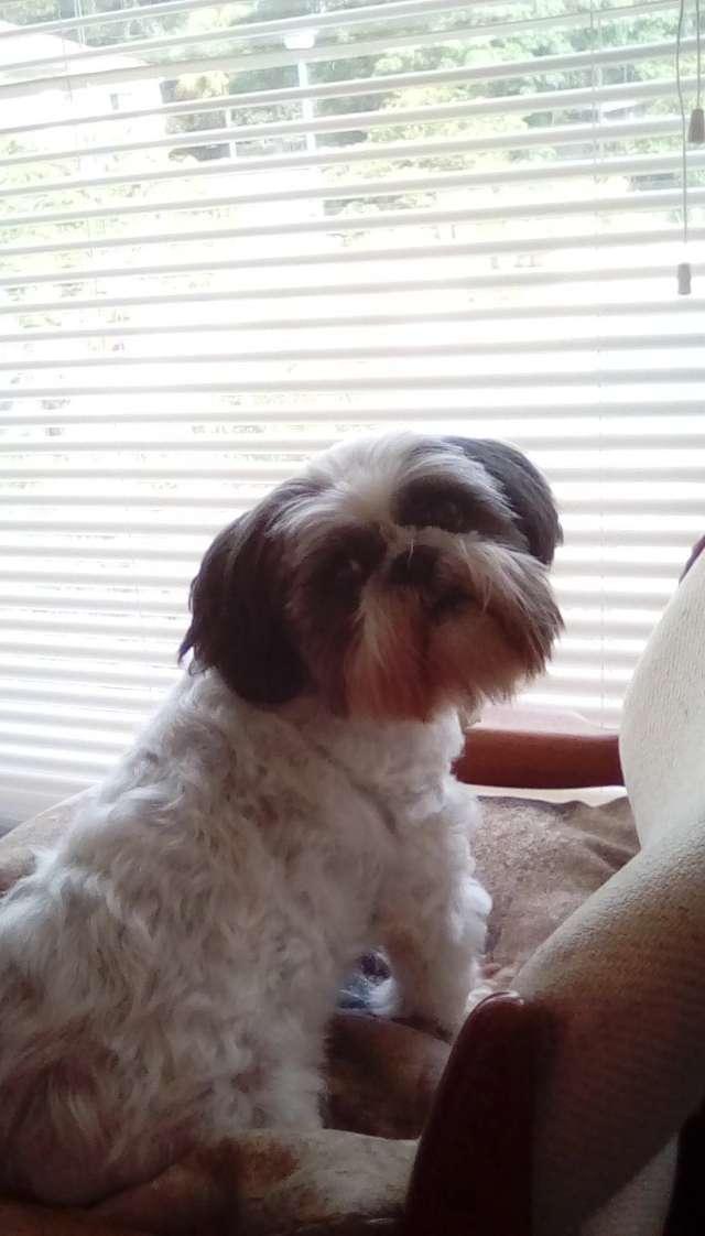 Frosttie profile photo