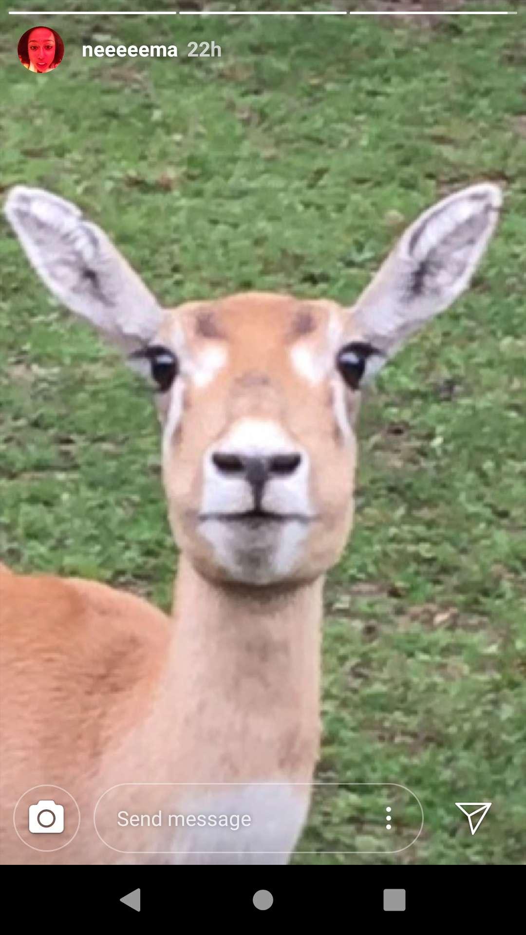 Sunder profile photo