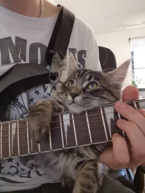 Cadence profile photo
