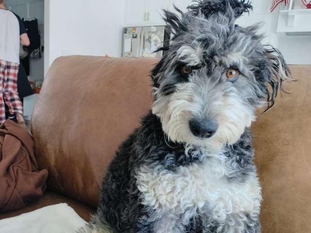 Kaiya profile photo