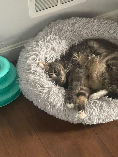 Josie profile photo