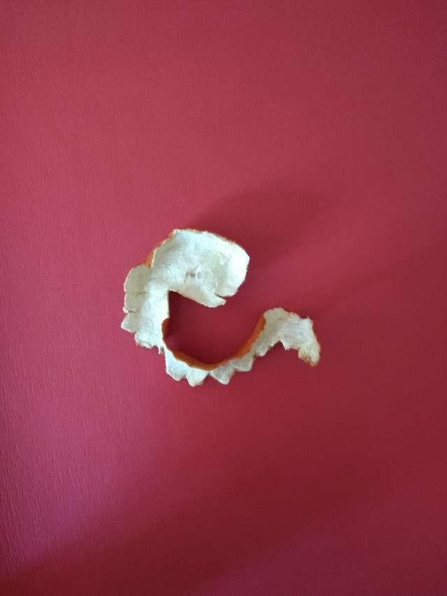 Tomato profile photo